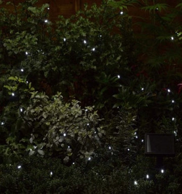 100 white solar fairy lights with a solar panel